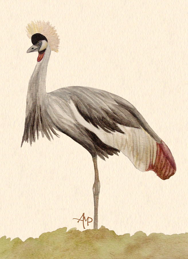 Crane Painting - Grey Crowned Crane by Angeles M Pomata