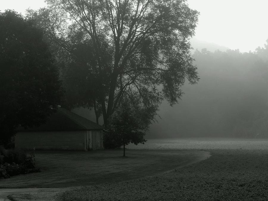 Grey Farm Mist Morn Photograph by Wild Thing