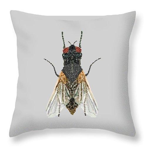Grey Fly Pillow Digital Art by R  Allen Swezey