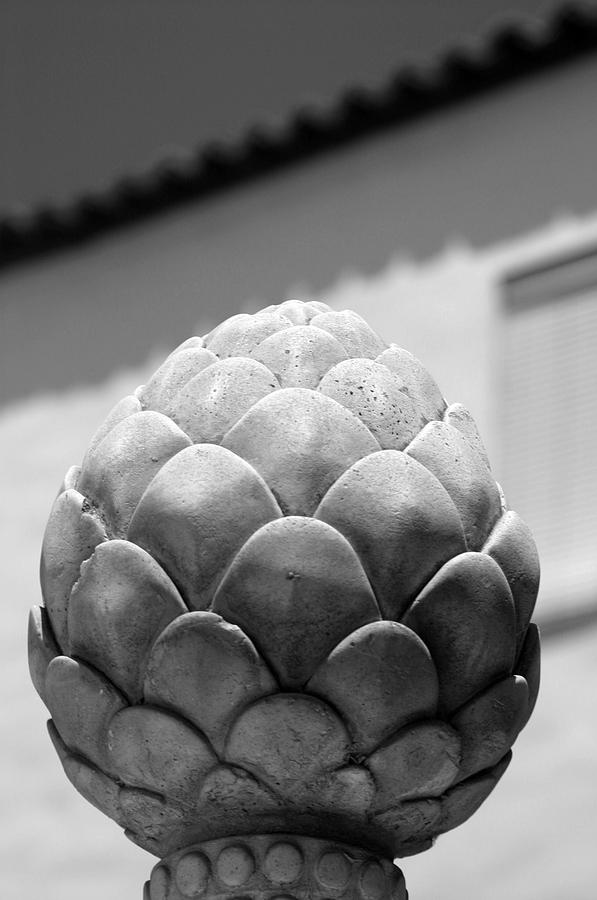 Grey Fruit Photograph By Jez C Self Fine Art America