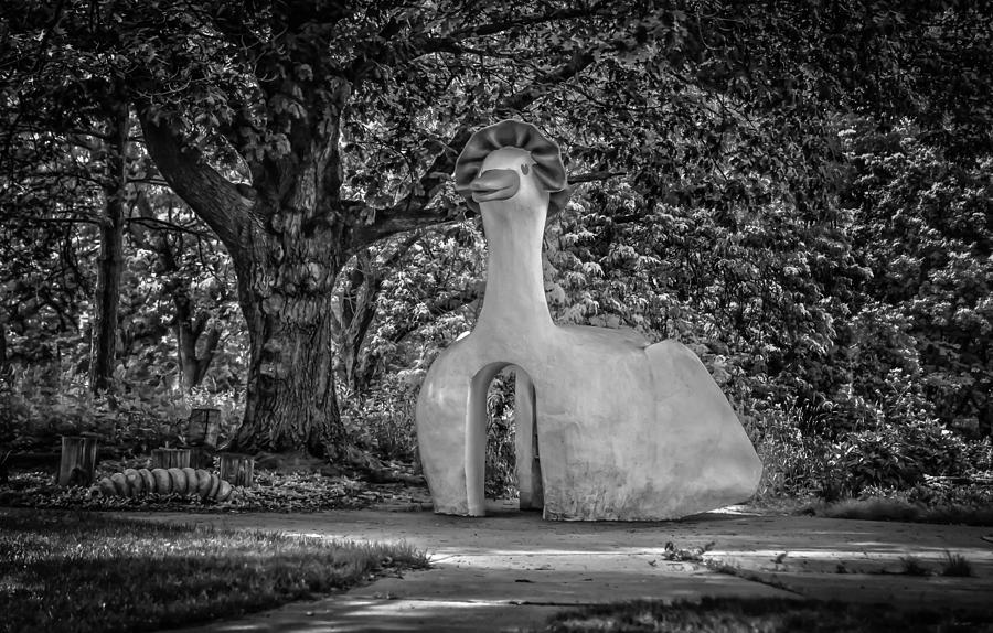 Grey Goose Photograph by Ray Congrove