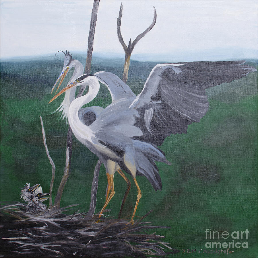 Tree Painting - Grey herons family by Claudia Luethi alias Abdelghafar