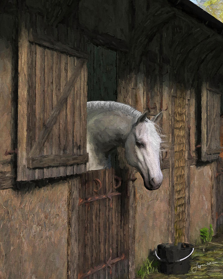 Horse Digital Art - Grey Horse in the Stable - Waiting for Dinner by Jayne Wilson