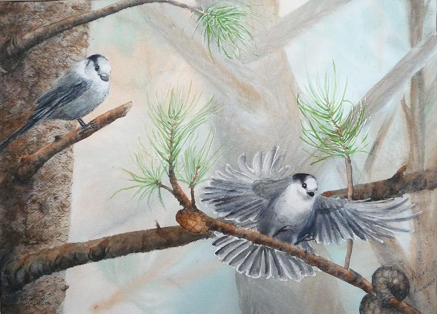 Grey Jays in a Jack Pine Painting by Ruth Kamenev