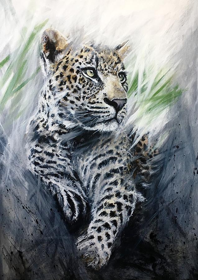 Grey leopard Painting by Paul Hardern - Fine Art America