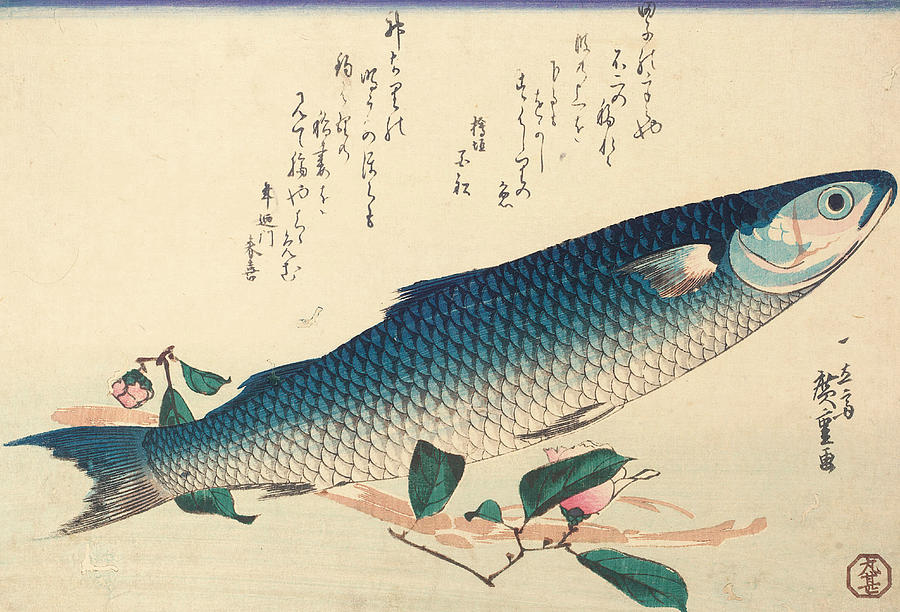 Hiroshige Painting - Grey mullet, Camellia and Udo by Hiroshige