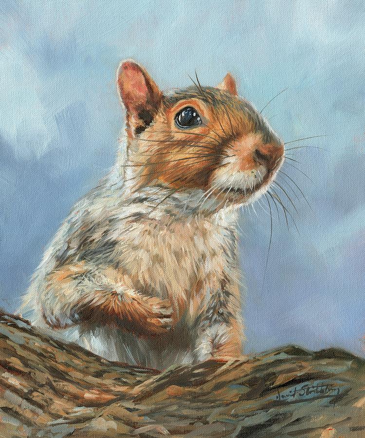 Grey Squirrel Painting by David Stribbling
