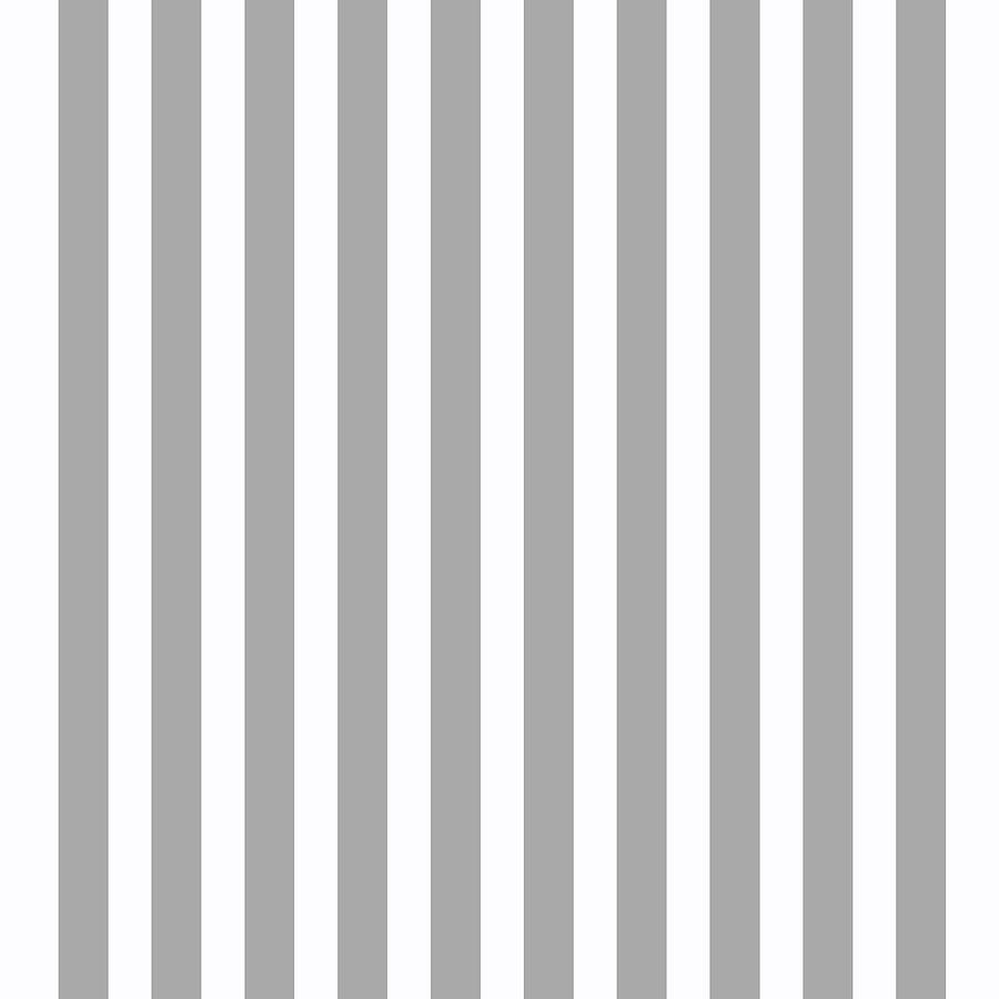 https://images.fineartamerica.com/images/artworkimages/mediumlarge/1/grey-white-stripes-pattern-orel-shaked.jpg