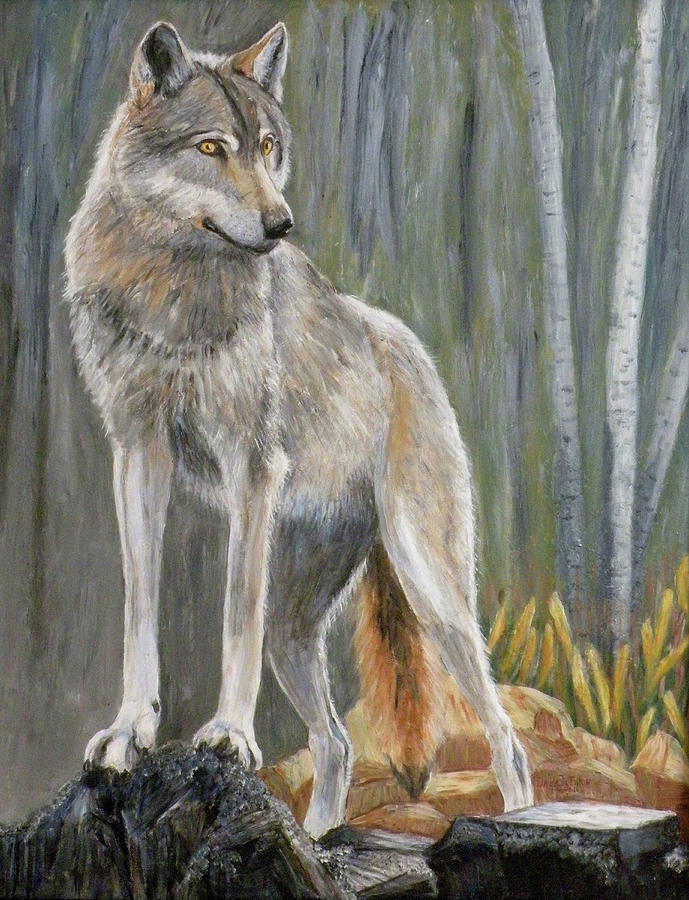 Grey Wolf Painting by Claudette Eaton - Fine Art America