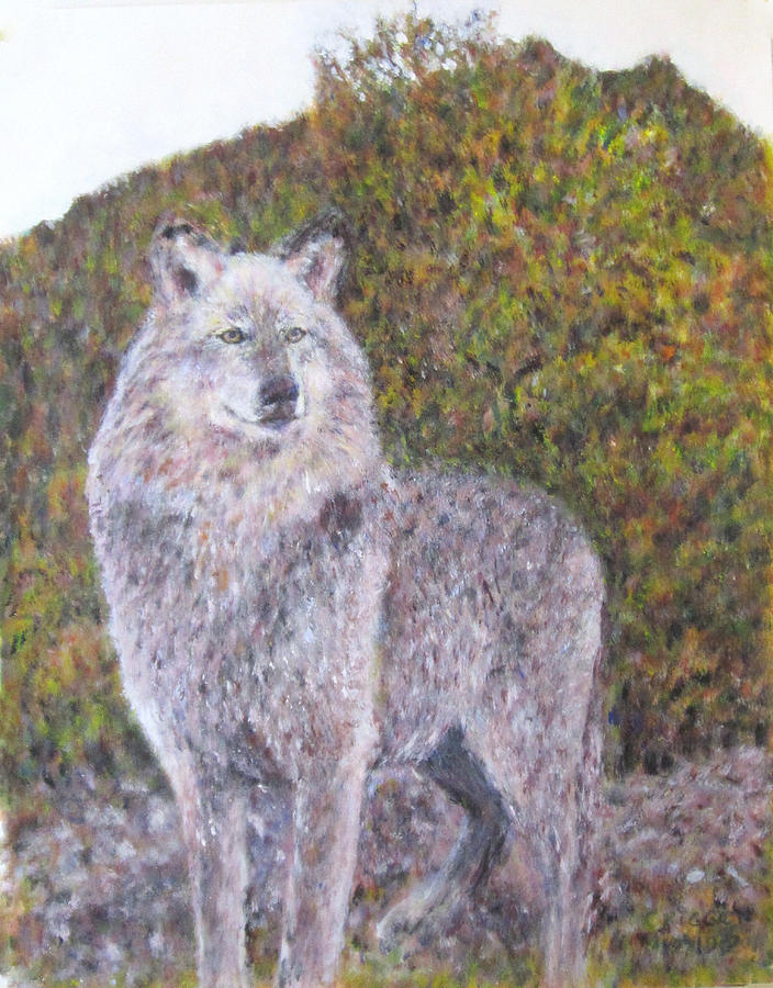 Grey Wolf in the Wilderness Painting by Glenda Crigger