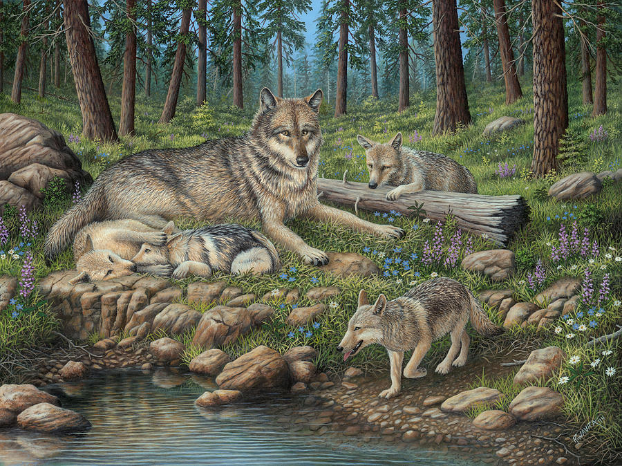 wolf pups playing drawing