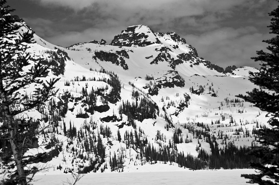 Grey Wolf Peak, Mission Mountains Photograph by Jedediah Hohf