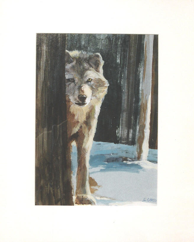 Nature Painting - Grey Wolf by Steve Greco