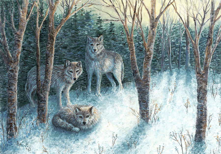 Grey Wolves at Dawn Painting by June Hunt
