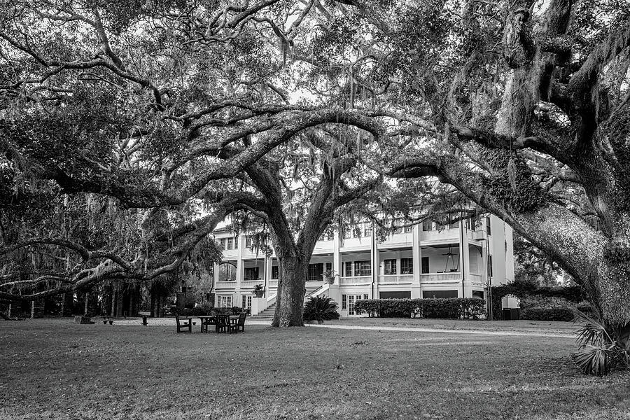 Greyfield Inn, Cumberland Island, Georgia by Dawna Moore Photography Greyfield Inn, Cumberland Island, Georgia by Dawna Moore Photography