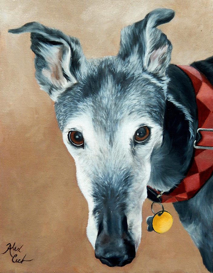 Dog Painting - Greyhound by Alexandra Cech