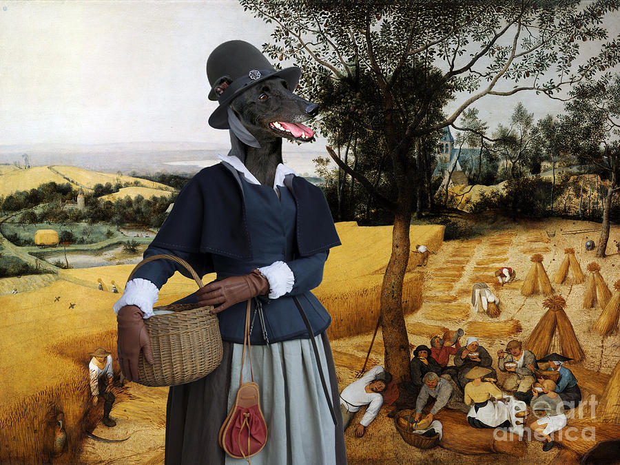 Greyhound Art Canvas Print - The Harvesters Painting by Sandra Sij