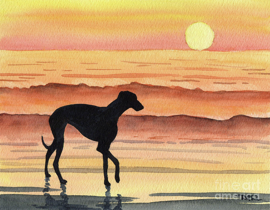 Sunset Painting - Greyhound at Sunset by David Rogers