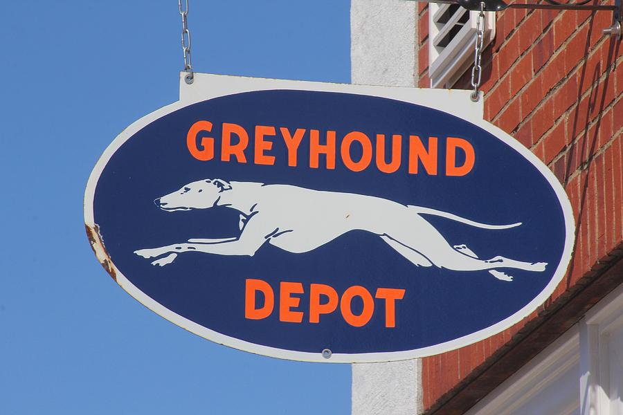 Greyhound Bus Depot Sign in Color Photograph by Joseph C Hinson