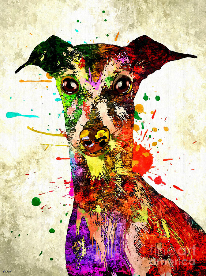 Vintage Mixed Media - Greyhound Colored by Daniel Janda