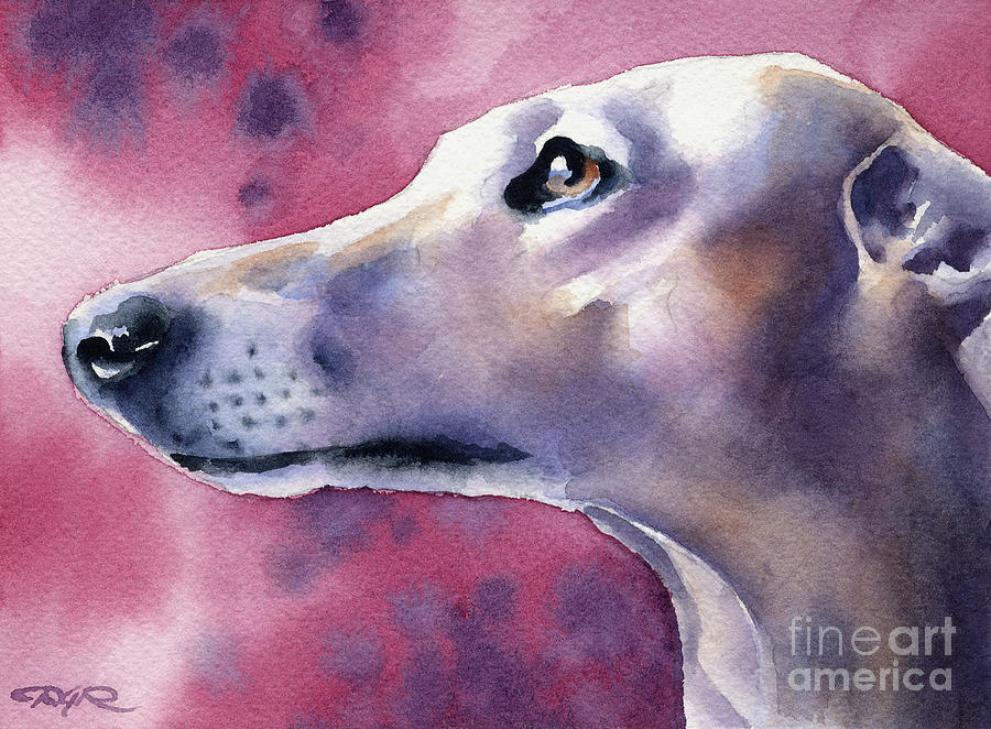 Portrait Painting - Greyhound by David Rogers
