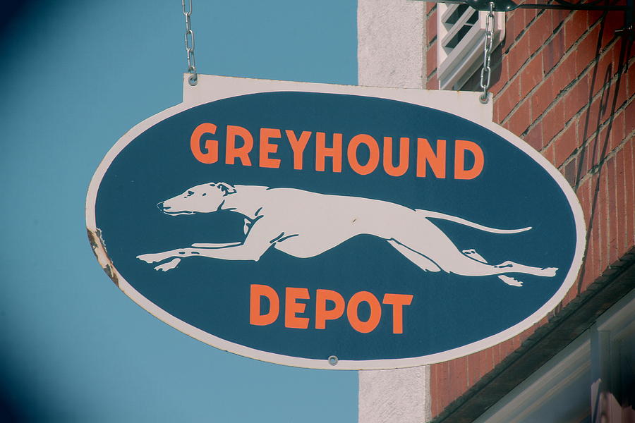 Greyhound Depot Sign Photograph by Joseph C Hinson