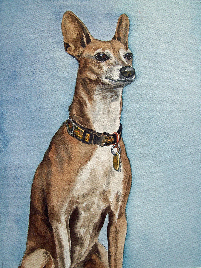 Greyhound Commission Painting by Irina Sztukowski Painting by Irina Sztukowski