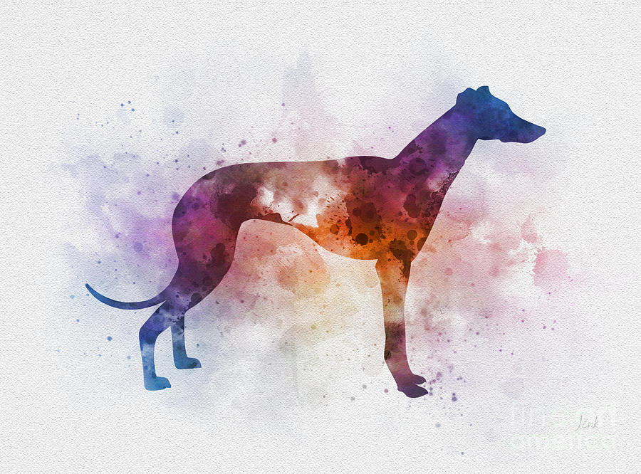 Greyhound Mixed Media by My Inspiration