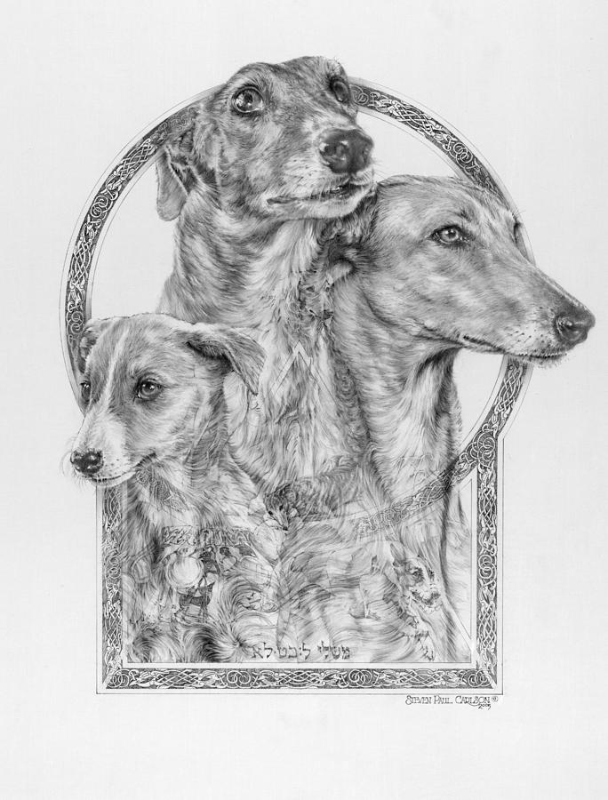 Dog Drawing - Greyhound - The Ancient Breed of Nobility - A Legendary Hidden Creation series by Steven Paul Carlson