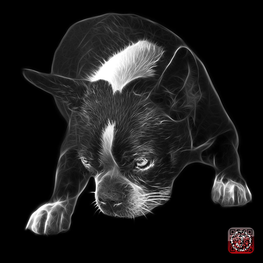 Greyscale Boston Terrier Art - 8384 - BB Mixed Media by James Ahn