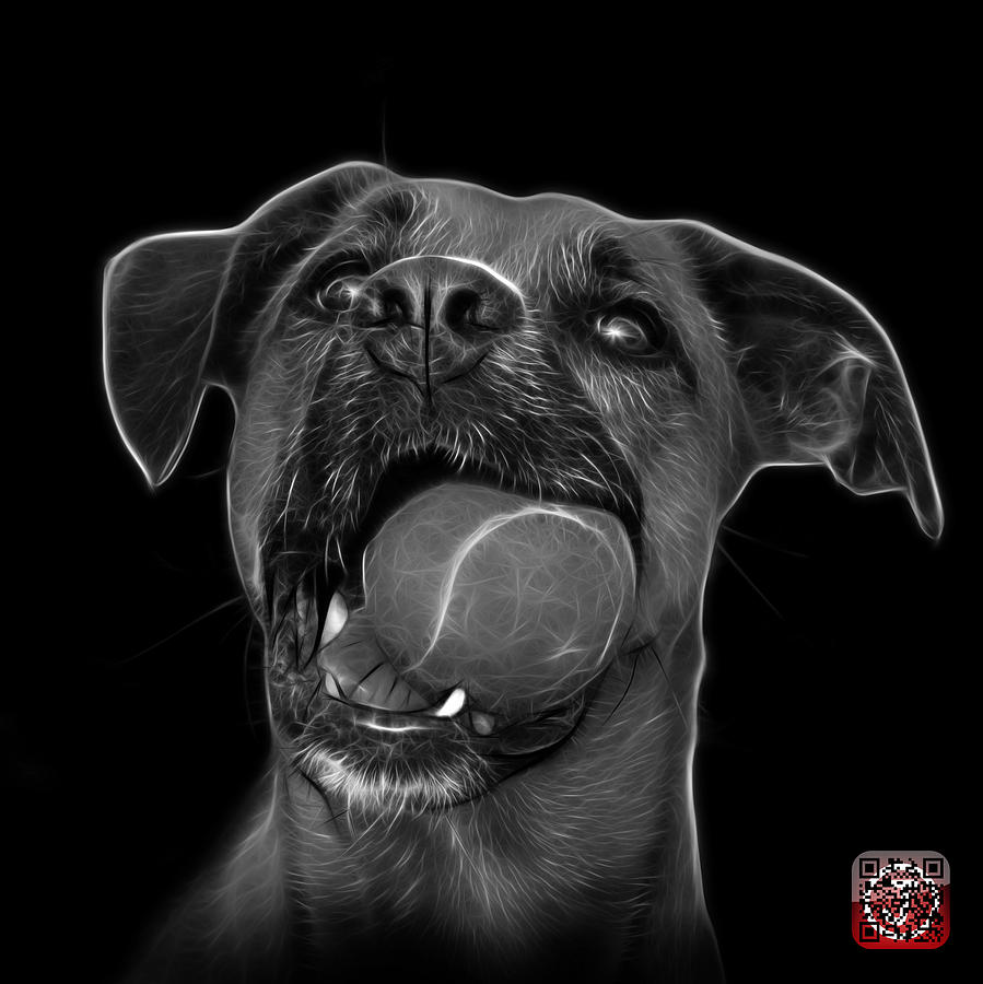 Greyscale Boxer Mix Dog Art - 8173 - BB Mixed Media by James Ahn