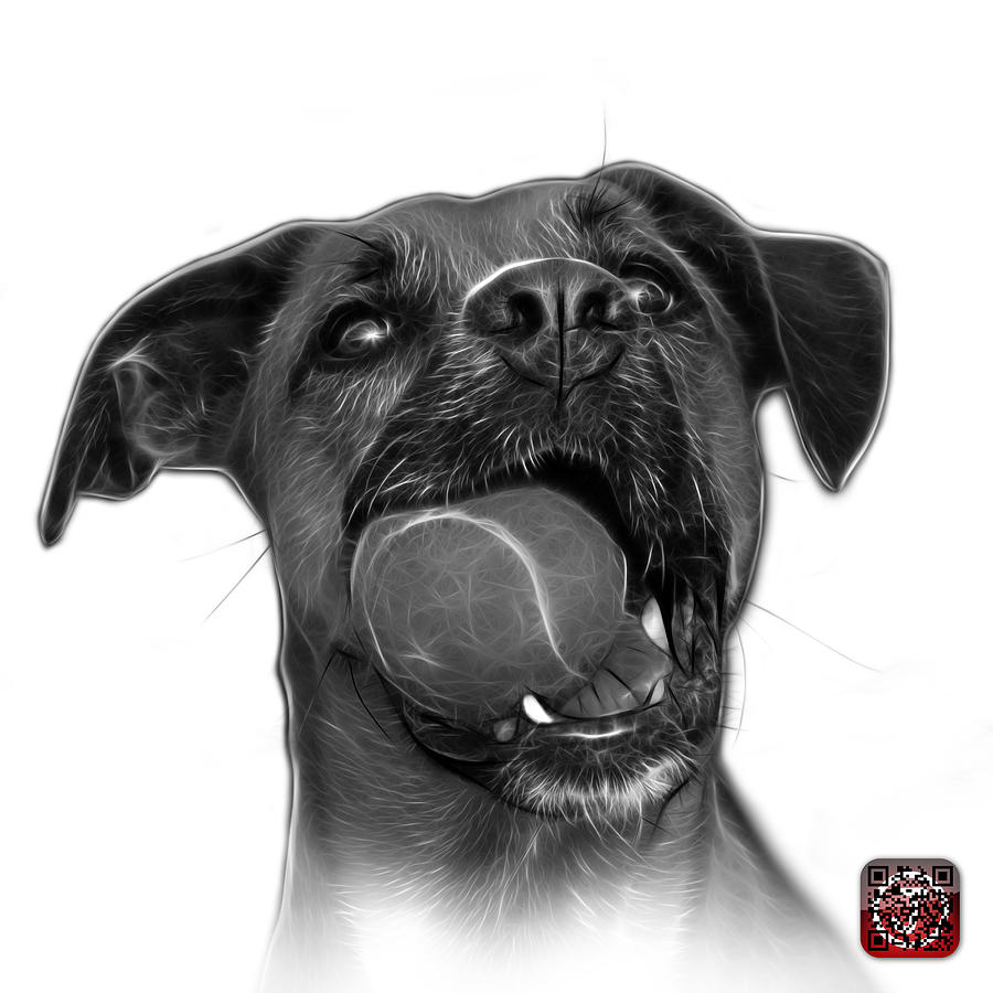 Greyscale Boxer Mix Dog Art - 8173 - WB Mixed Media by James Ahn