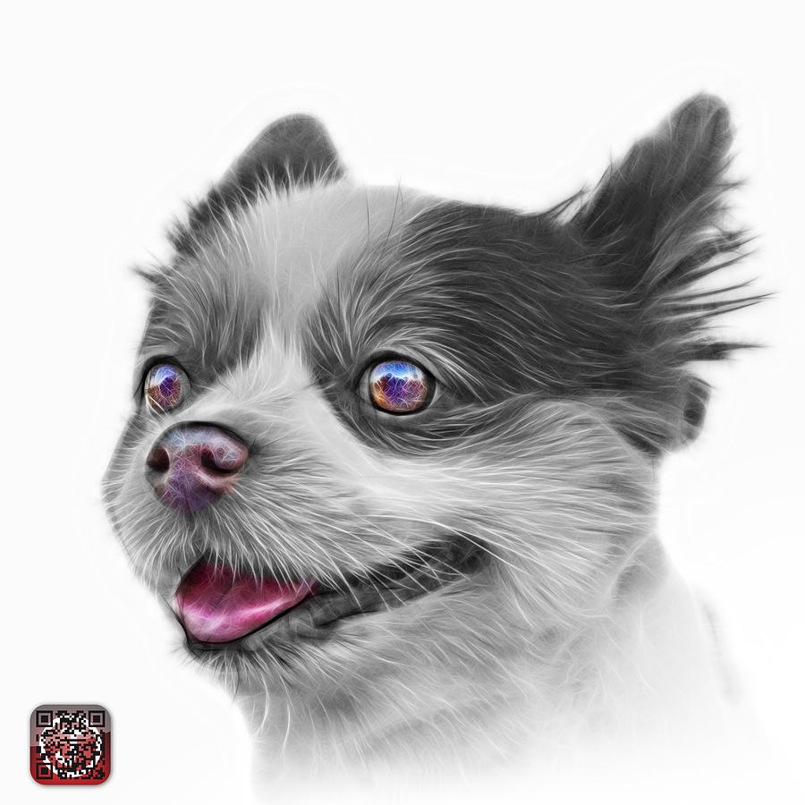 Greyscale Pomeranian dog art 4584 - WB Painting by James Ahn