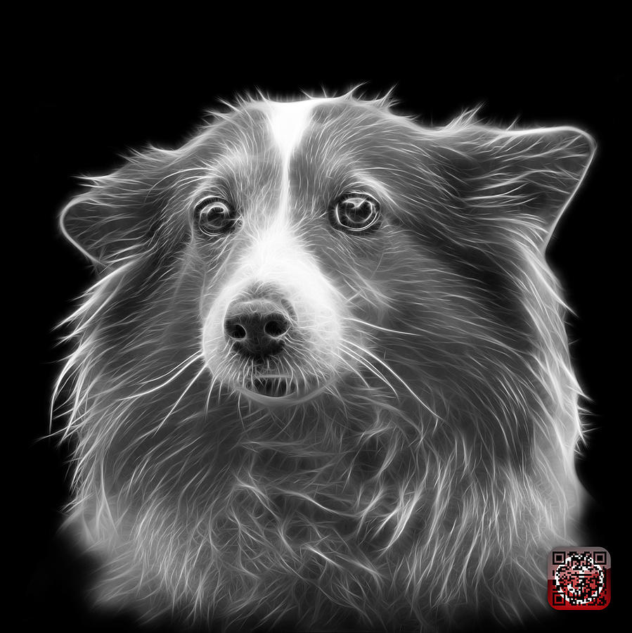 Greyscale Shetland Sheepdog Dog Art 9973 - BB Mixed Media by James Ahn
