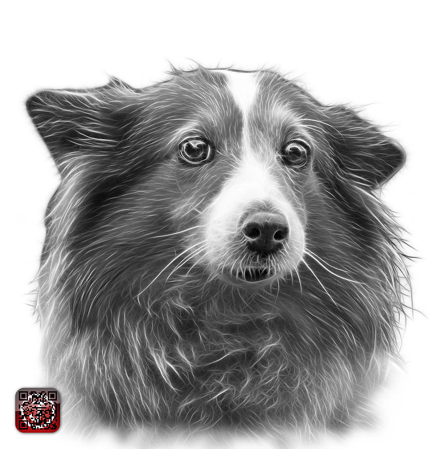 Greyscale Shetland Sheepdog Dog Art 9973 - WB Mixed Media by James Ahn