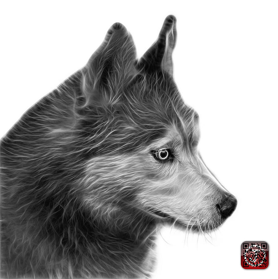 Greyscale Siberian Husky Art - 6048 - WB Painting by James Ahn