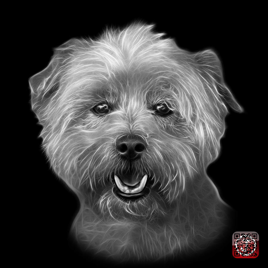 Greyscale West Highland Terrier Mix - 8674 - BB Mixed Media by James Ahn