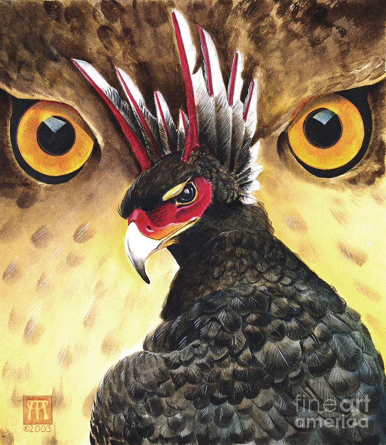Eagle Painting - Griffin Sight by Melissa A Benson
