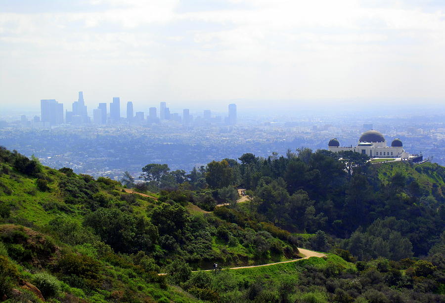 Griffith Park Los Angeles  Photograph by Linda Larson