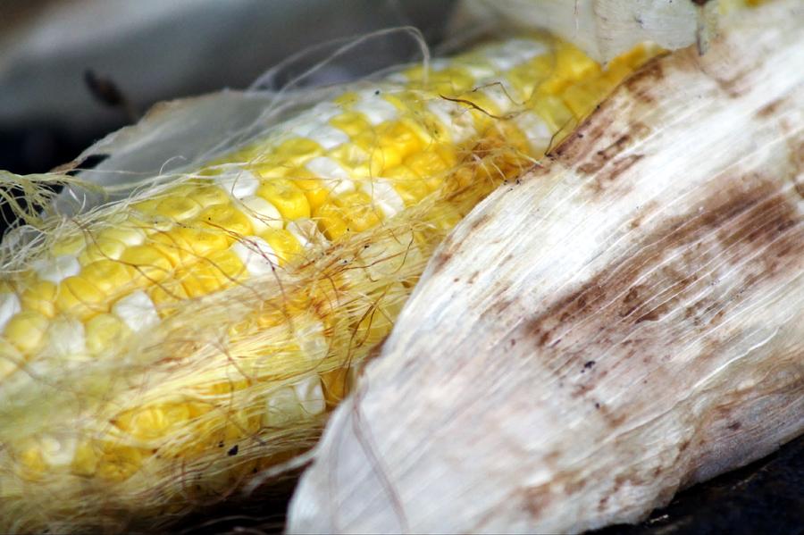 Grilled Corn Photograph