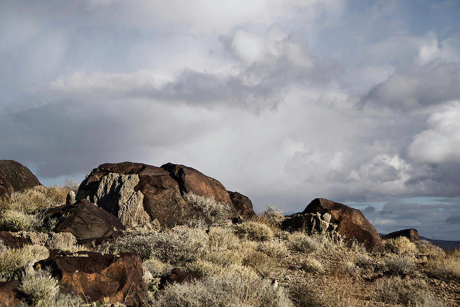 Grimes Archaeological Point Photograph by Karen W Meyer - Fine Art America