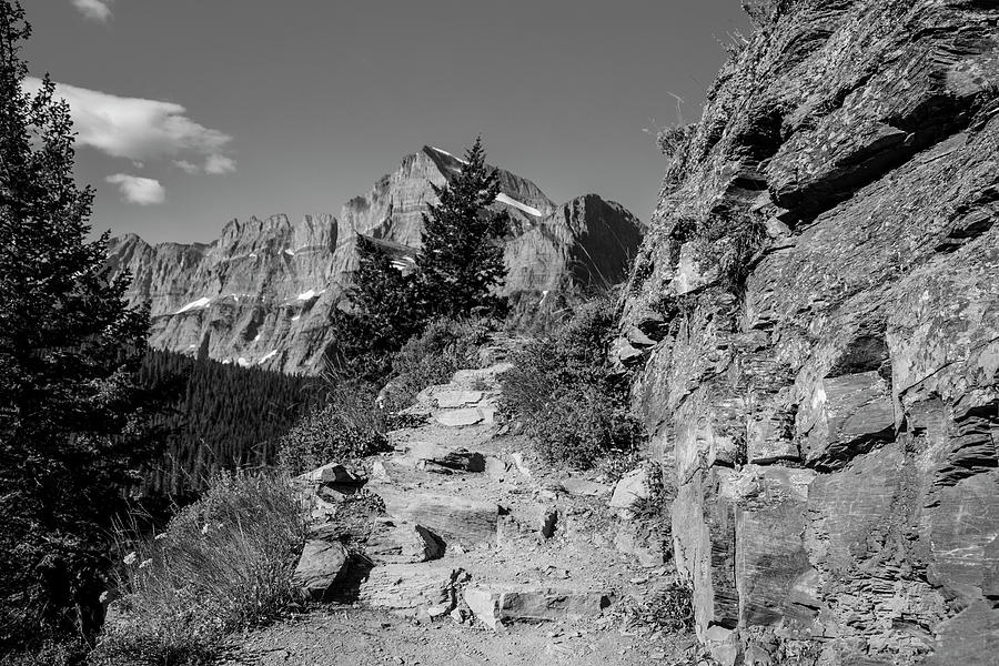 Grinnell Glacier Path Black and White  Photograph by John McGraw