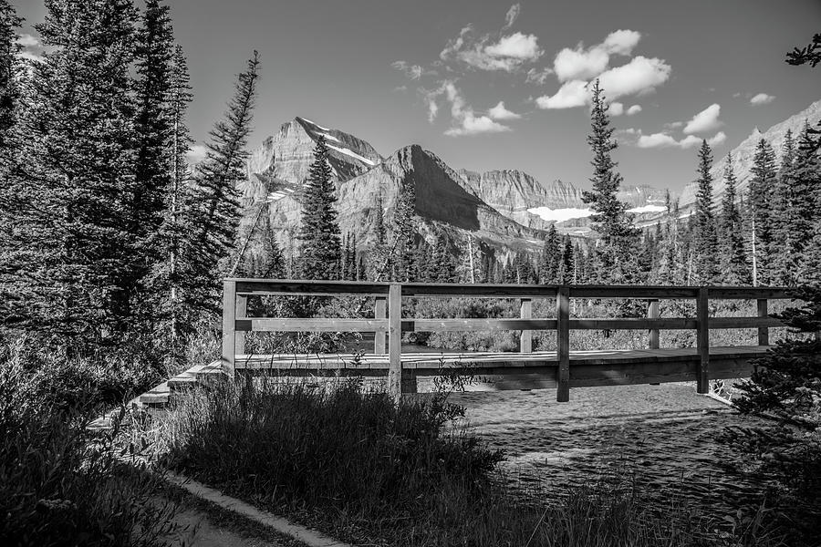 Grinnell Glacier Trail Bridge  Photograph by John McGraw