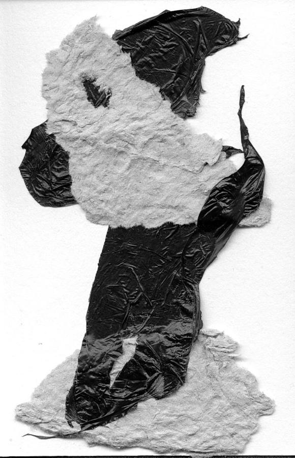 Collage Mixed Media - Grisnegro1 by Emilio B Campo- Diaz Collage Mixed Media - Grisnegro1 by Emilio B Campo- Diaz