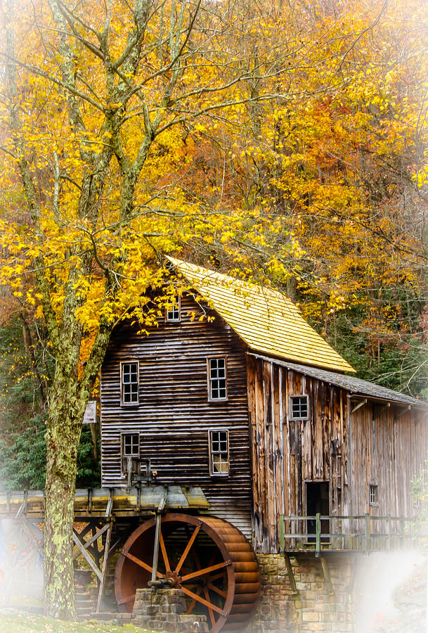 Framed In Autumn Photograph by Ola Allen
