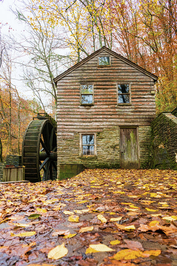 Tree Photograph - Grist Mill Side View by Sharon Popek