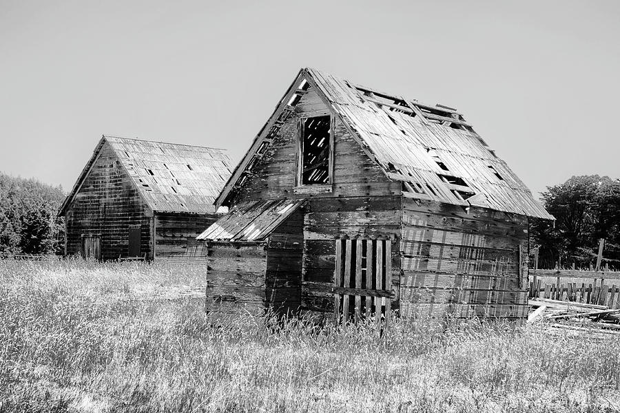 Grizzled Acres in Black and White Photograph by Kandy Hurley