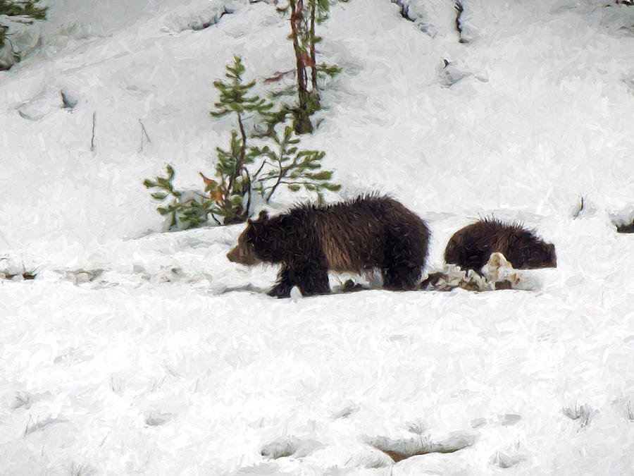 Yellowstone National Park Photograph - Grizzlies in the Snow by Jayne Wilson