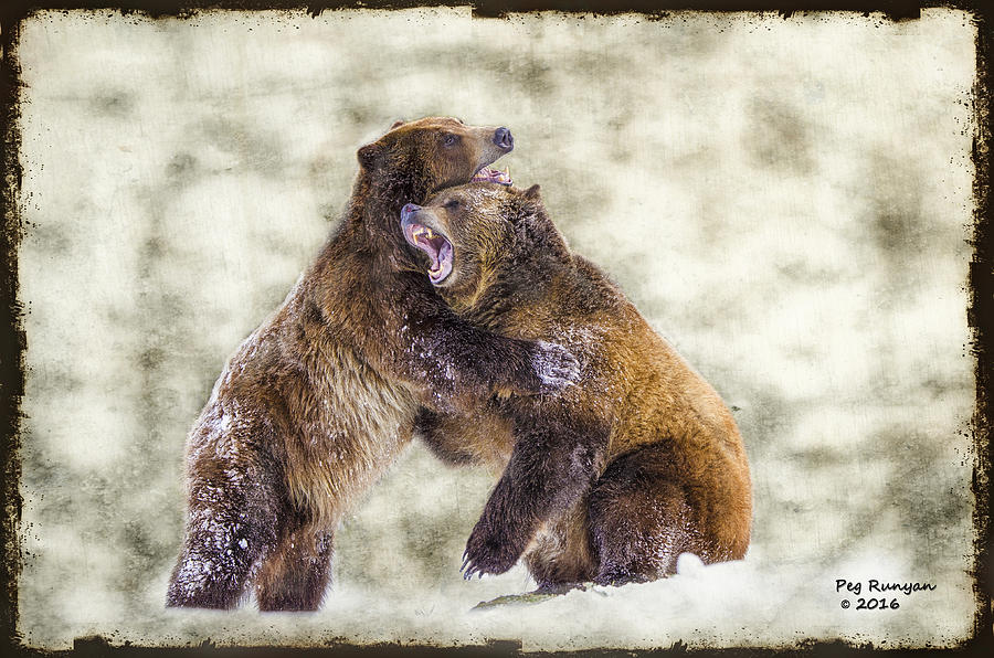 Grizzlies Photograph by Peg Runyan