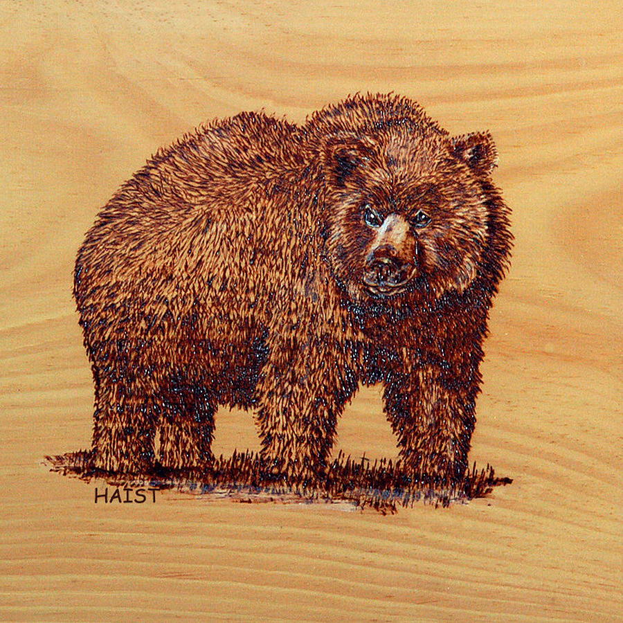 Grizzly 2 Pillow/bag Pyrography by Ron Haist